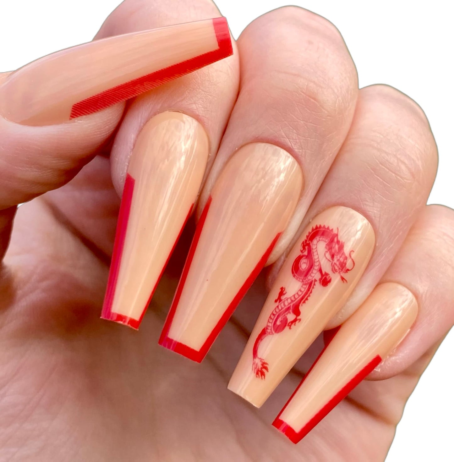 Long Coffin Dragon Press on Nails | Fake Nails | False Nails | Glue On Nails | Ombre Nails | Short Press on Nails