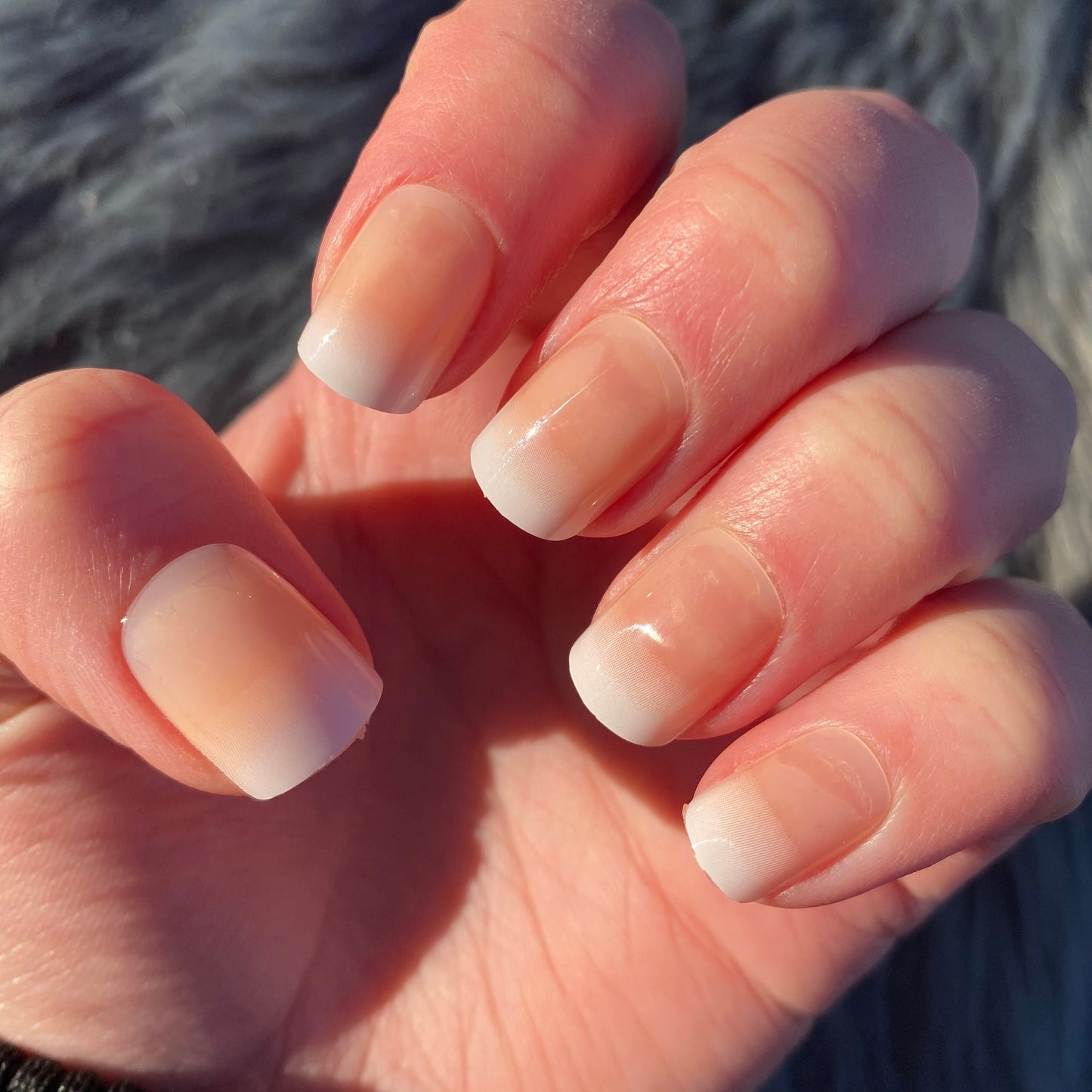 Glossy Short Square Nude to White Press on Nails | Short Press on Nails | False Nails | Glue On Nails | Short Nails | Fake Nails