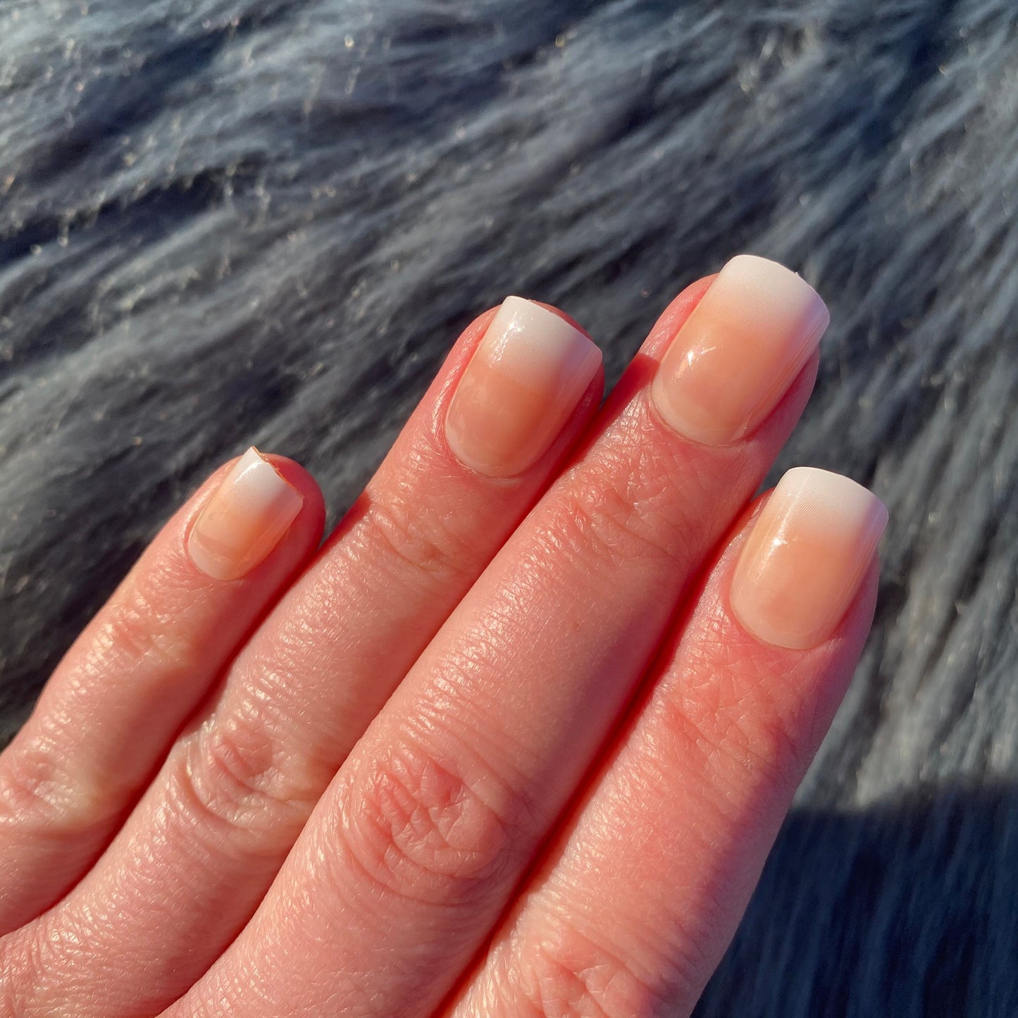Glossy Short Square Nude to White Press on Nails | Short Press on Nails | False Nails | Glue On Nails | Short Nails | Fake Nails