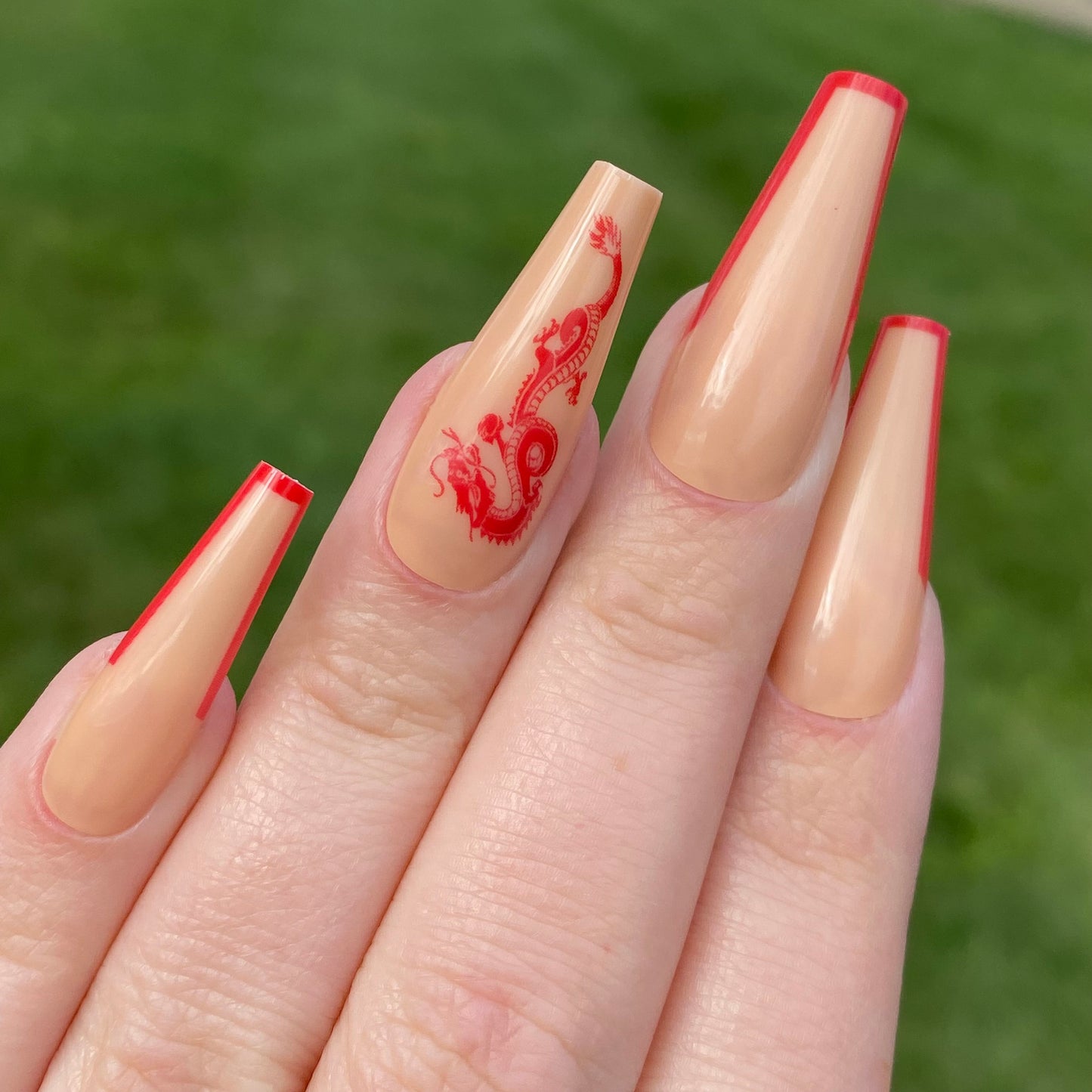 Long Coffin Dragon Press on Nails | Fake Nails | False Nails | Glue On Nails | Ombre Nails | Short Press on Nails